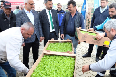 Kocaeli’de Gebzeli çiftçilere 500 bin fide dağıtıldı