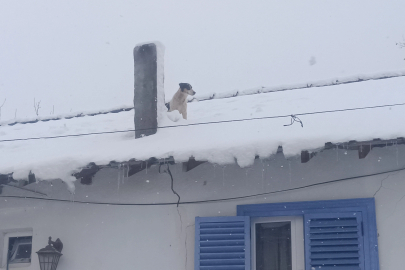 Bilecik Pazaryeri'nde kar altında kurtarma operasyonu