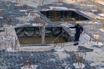 İzmir'de vektörle mücadele sürüyor