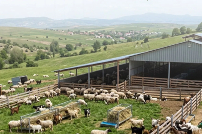 Çiftçilere 5,48 milyar TL tarımsal destek ödemeler hesaplarda